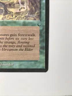 NM Hidden Path The Dark (Check Pics) MTG TCG - Image 3