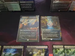 MTG Lorwyn Eclipsed Lands Foil/Nonfoil Borderless Overgrown Tomb Blood Crypt lot - Image 4