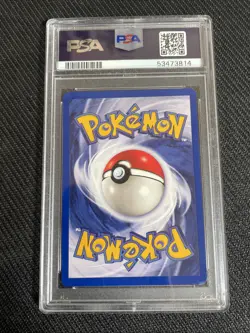 Pokemon PSA 10 EEVEE 11 Promo BLACK STAR 2000 ENG ENGLISH - NON HOLO ERROR LABEL - Image 2