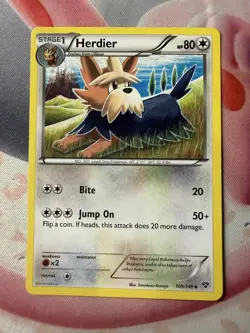 Herdier Uncommon XY Base Set 109/146 NM English Pokemon Card - Image 1