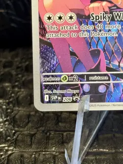 Marnie’s Morpeko 206 Sv: Scarlet & Violet Promo Cards Holo - Image 5