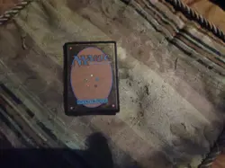 Worldly Tutor Classic Sixth Edition Regular - Image 3