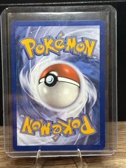 Pokemon TCG Dachsbun EX 160/142 Stellar Crown Mint Condition - Image 2
