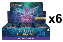 SEALED CASE! 6x Set Booster Box Wilds of Eldraine WOE MTG - Image 1