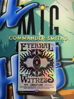 1x Eternal Witness ✨ Borderless FOIL ✨ Secret Lair MTG NM Near Mint (1522) - Image 1