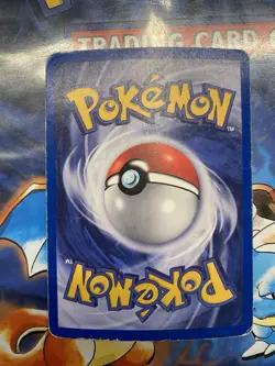 Carta Pokemon Zapdos Fossil Rara Olografica Prima Edizione 15/62 Italiano WOTC - Image 2