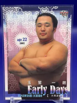Tamawashi Ichiro- BBM Sumo Wrestler Trading Card 2018 Japan TCG Japanese 61 - Image 1
