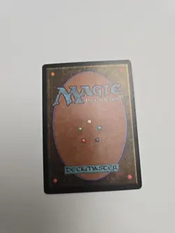 Natural Order Visions French - Image 2