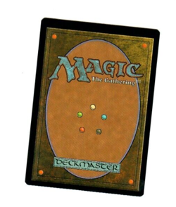 Silverfur Partisan Rare Magic the Gathering Card Shadows Over Inistrad Non Foil - Image 2