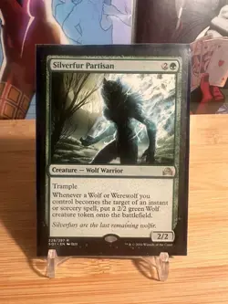 MTG Magic the Gathering Silverfur Partisan (228/355) Shadows over Innistrad NM - Image 1