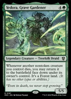 MTG - 4 x Yedora, Grave Gardener - Playset 4x x4 - Karlov Manor Commander - Image 2