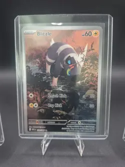 pokemon card lot (3) cards/ archeops, blitzle, scraggy - Image 3