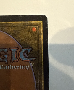 Bayou Magic The Gathering MTG Revised Edition Regular - Image 5