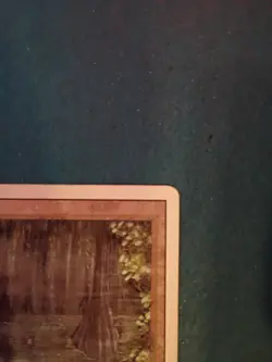 Magic The Gathering MTG Bayou Revised Edition Dual Land Excellent Condition - Image 2