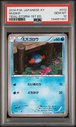 2014 POKEMON JPN XY TIDAL STORM 1ST EDITION #012 MUDKIP PSA 10 - Image 1