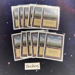 1x MTG Unlimited Plains Version C from Estate Collection - Image 1