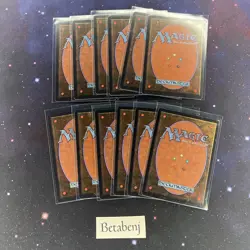 1x MTG Unlimited Plains Version C from Estate Collection - Image 2