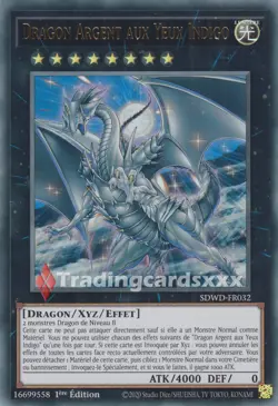 Yu-Gi-Oh! Dragon Argent aux Yeux Indigo : UR SDWD-FR032 - Image 1
