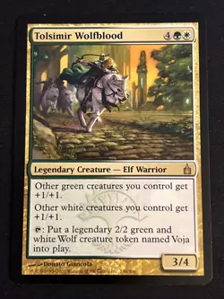1x Tolsimir Wolfblood (236) Ravnica: City of Guilds LP MTG Magic x1 MKE - Image 1