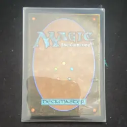 Wizards of the Coast Magic: The Gathering Eclipsed Realms Land ECL 423 - Image 2