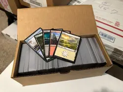 mtg: 700 basic lands, equal amounts of each, sorted - Image 1