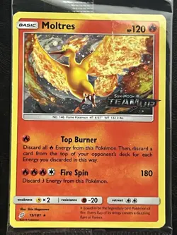 Pokemon Moltres Pre-Release Promo Sealed - Team Up - 19/181 2 - Image 1