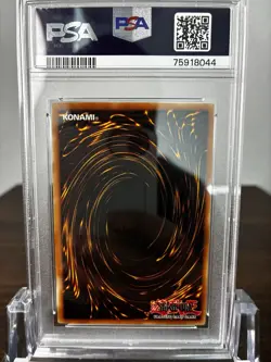 Yu-Gi-Oh! Dark Magician Girl Magician's Force 1st Edition Secret MFC-000 PSA 9 - Image 4