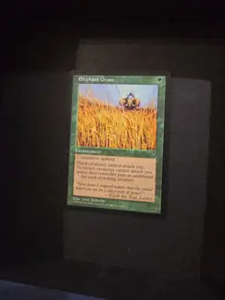 Elephant Grass - Visions (VIS) - Image 1