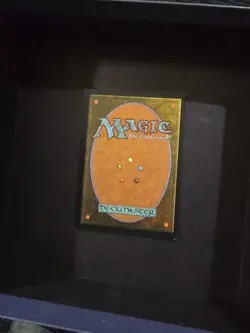 Elephant Grass - Visions (VIS) - Image 2