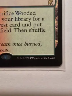 MTG | Khans of Takir | Wooded Foothills | Regular 249 - Image 4