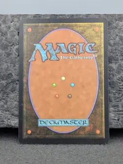 LP - Snow-Covered Plains - Coldsnap - Foil - Magic The Gathering English MTG - Image 2