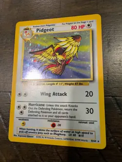 NO SYMBOL ERROR Pidgeot 8/64 Jungle 1999 Holo Rare WOTC Pokemon Card TCG NM- - Image 1