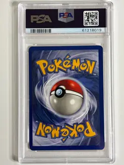 1st Edition Pinsir 9/64 Jungle Holo Rare Pokemon Card PSA 8 - Image 3