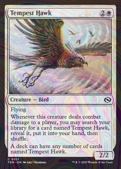 Foil Tempest Hawk - Tarkir: Dragonstorm - 31 | MTG Card - Image 1
