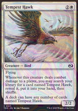 Foil Tempest Hawk - Tarkir: Dragonstorm - 31 | MTG Card - Image 3