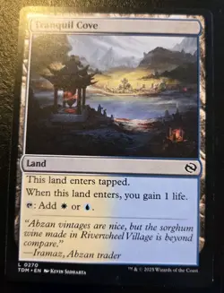Tranquil Cove 0270 Land Tarkir: Dragonstorm Magic: The Gathering - Image 1