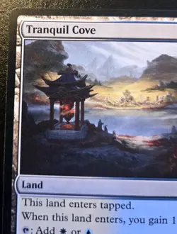 Tranquil Cove 0270 Land Tarkir: Dragonstorm Magic: The Gathering - Image 2