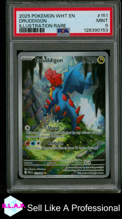 DRUDDIGON ILLUSTRATION RARE POKEMON WHT EN-WHITE FLARE 2025 151 PSA 9 - Image 1