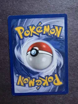 Pokemon TCG 1st Edition Furret Neo Genesis Set #35/111 2000 WOTC VTG LP - Image 2