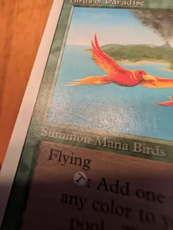 Birds of Paradise MTG Revised Edition Regular LP x2 - updated listing - Image 3