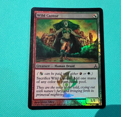 Foil - Wild Cantor - Guildpact - MTG - Magic the Gathering - Foil - Image 2
