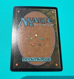 Foil - Wild Cantor - Guildpact - MTG - Magic the Gathering - Foil - Image 3