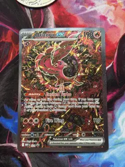 Oricorio Ex 24 Pokemon Mega Evolution Black Star Promo Phantasmal Flames - NM - Image 1