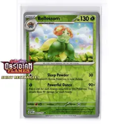 Obsidian Flames Pokemon Cards Reverse Holo EX Master Set Singles You Pick 1-197 - Image 5