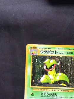 Pokemon Cards: Japanese Jungle Rare Holo: Victreebel 71 - Image 3