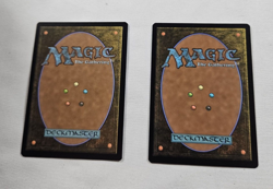 Shifting Woodland and Nadu Winged Wisdom Cards - Image 2