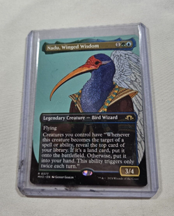 Shifting Woodland and Nadu Winged Wisdom Cards - Image 3