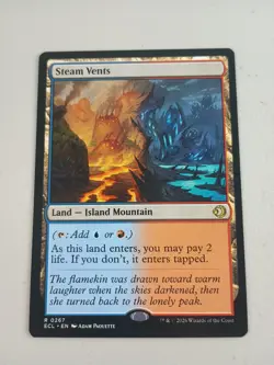 STEAM VENTS LORWYN ECLIPSED ECL RARE ISLAND MOUNTAIN LAND MTG 267 ECL Shock NM - Image 1