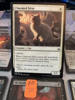 MTG Charmed Stray War of the Spark 008/264 Regular Common - Image 4