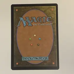 Notorious Throng LP Morningtide MTG MAGIC THE GATHERING - Image 4